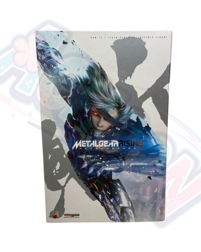 Metal Gear Rising: Revengeance - Raiden - 1/6 - VideoGame Masterpiece (VGM17)